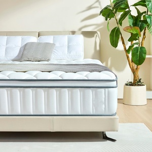 <span class=keywords><strong>Matelas</strong></span> de lit à ressorts 14 pouces king Queen taille unique dans une boîte <span class=keywords><strong>Matelas</strong></span> Hybrid Hotel Firm <span class=keywords><strong>Matelas</strong></span> à ressorts ensachés Fournisseurs de gros - Product Image 1