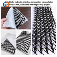 Filet de drainage composite en maille 3D haute compression pour le remblai des murs de soutènement et le drainage des sous-couches routières et ferroviaires
