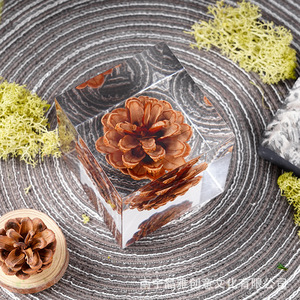 Cube en acrylique avec fleur séchée 6cm, décoration réelle intégrée pour la maison, cadeau - Product Image 4