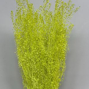 Émeraude séchée préservée à faible taux <span class=keywords><strong>de</strong></span> bris pour <span class=keywords><strong>bouquet</strong></span> <span class=keywords><strong>de</strong></span> fleuriste, matériau assorti pour bouquets séchés finis - Product Image 3