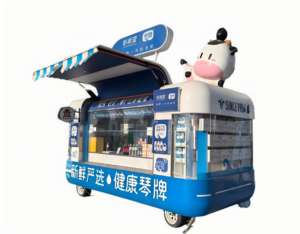 Camion-remorque alimentaire mobile avec structure en aluminium pour utilisation en extérieur et pour la promotion de l'alphabétisation communautaire - Product Image 6