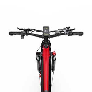 Vélo électrique tout-terrain extrême Duotts F26 250W à double moteur 65Nm*2, puissance élevée, batterie au lithium cachée de 20Ah - Product Image 5
