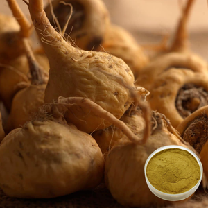Fornitura di Fabbrica: Estratto Naturale in Polvere 4:1, 10:1, 20:1 (Estrazione con Solvente) per Radici, in Fusto da 25kg - Product Image 6