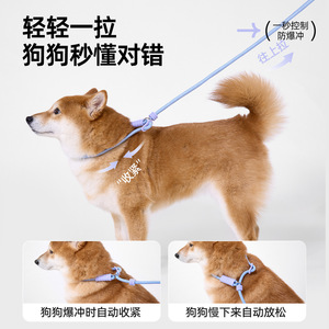 Nuevo tipo de correa a prueba de explosiones para perros pequeños y medianos, correa antiescape para perros grandes, correa con collar para - Product Image 4