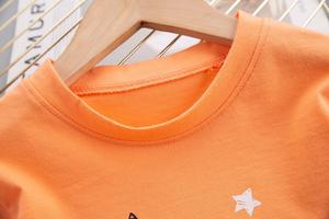 Ensemble de vêtements d'été pour enfants 2022 Garçons Universel Faible MOQ Coton Confortable Mignon T-shirt et Short 2 Pièces pour Enfant - Product Image 5