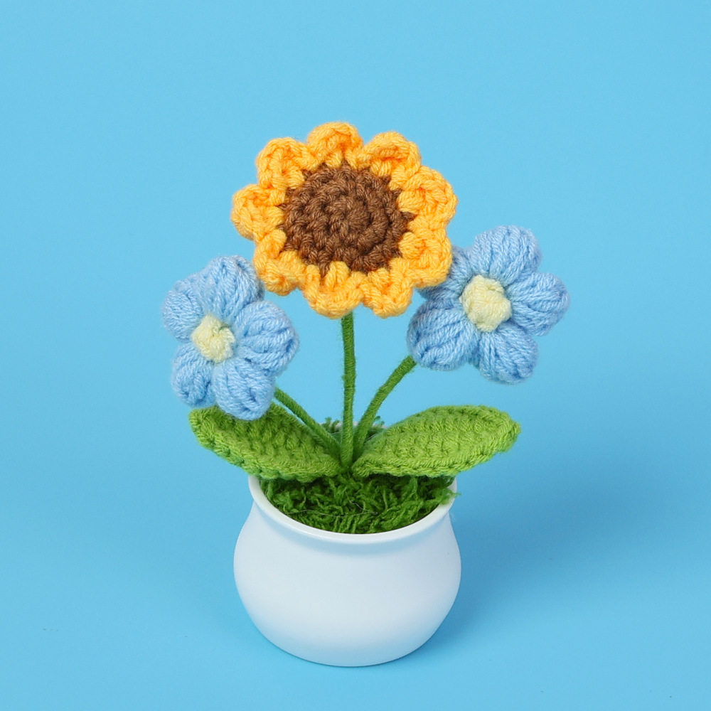 Tournesol de petite taille + Plante en pot double bouffée bleue