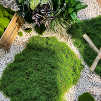 Vente en gros flocage de mousse verte en pot plante artificielle sphaigne mousse tourbe art mural décoration de bureau