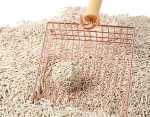 Lettiera per Gatti Biodegradabile Premium 2025, Sabbia Agglomerante Rapida Senza Polvere, Bentonite Mista al Profumo di Tofu - Product Image 1