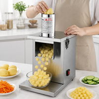 Commerciële elektrische groenten snijmachine van roestvrij staal, fruitblokjes snijder en -slicer voor hotel, restaurant en keuken, voedselverwerker
