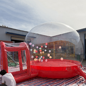 Casa <span class=keywords><strong>de</strong></span> Brinco Inflable Transparente <span class=keywords><strong>de</strong></span> PVC <span class=keywords><strong>de</strong></span> Grado Comercial, Ligera, con Diseño <span class=keywords><strong>de</strong></span> Dibujos Animados, 3x3m, para Niños, Uso Comercial <span class=keywords><strong>en</strong></span> Interiores/Exteriores - Product Image 5