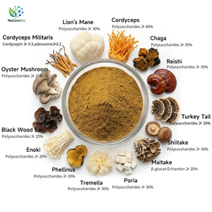 Extracto Nutricional <span class=keywords><strong>de</strong></span> Hongos Orgánicos USDA EU, Complejo 14 en 1 en Polvo, Extracto Acuoso <span class=keywords><strong>de</strong></span> Melena <span class=keywords><strong>de</strong></span> León, Reishi, Turkey Tail, Antocianina y Proteína - Product Image 1