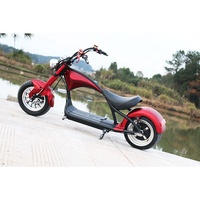Scooter Citycoco Dogebos EEC COC 2000W avec grand siège, moto électrique pour adultes