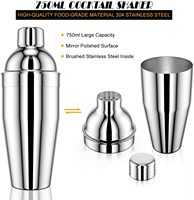 Ensemble de 17 pièces pour cocktails, kit de barman, shaker Boston en acier inoxydable, ensemble d'outils de mixologie pour bar à domicile, fête, cadeau