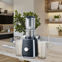 Extracteur de jus lent multifonctionnel à mastication électrique 300W 500mL, faible bruit, pour fruits et légumes, avec fonction automatique de retrait de la pulpe