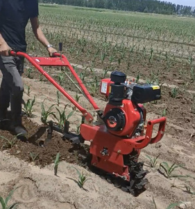 Motoculteur Agricole Multifonctionnel pour le Labourage, le Semis et la Fertilisation des Terres - Product Image 1