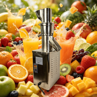 Extracteur de jus industriel automatique à haut rendement en acier inoxydable pour tomates, pommes, oranges, gingembre, céleri, carottes