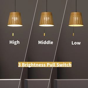 कस्टम रंग कॉर्नलेस समायोज्य टेबल लैंप फर्श पेंडेंट लाइट होम रेस्तरां के लिए सरल डिजाइन छोटे आकार - Product Image 3