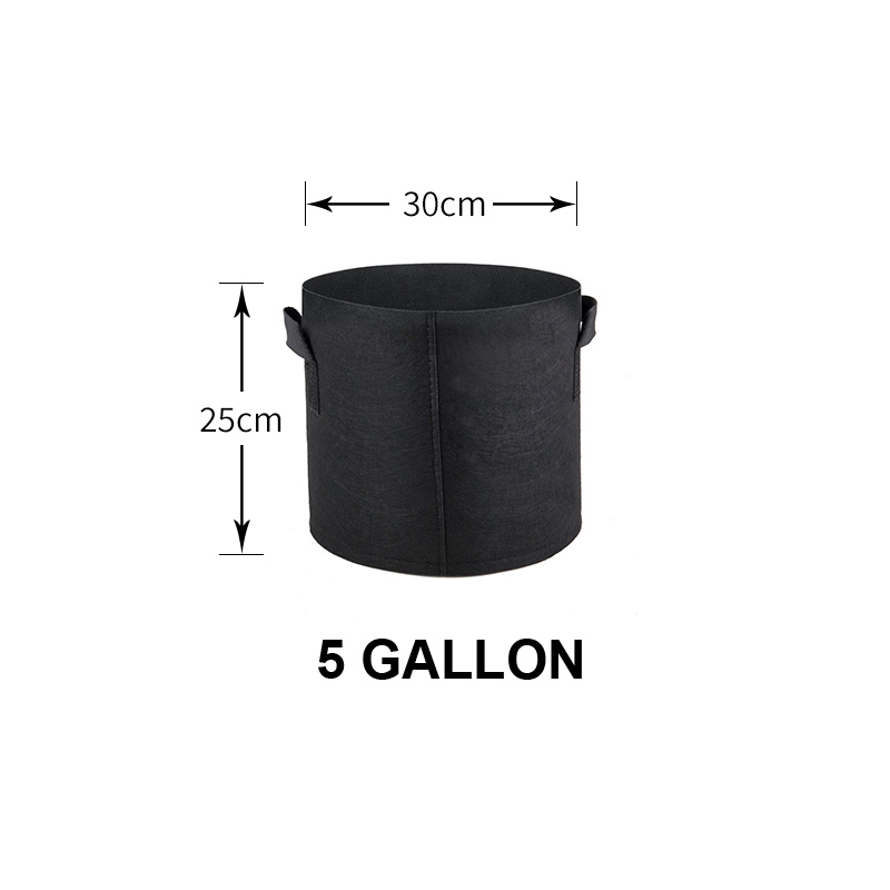 Noir-5 GAL