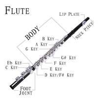 STARWAY Flute Professional Brass C Key 16 Hole Flute Silver Plated Musical Instruments With Case and Accessories