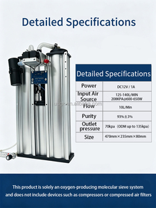 Générateur d'ozone et d'oxygène avec tamis moléculaire à oxygène de haute qualité pour le traitement de l'eau, la stérilisation et la désinfection - Product Image 4