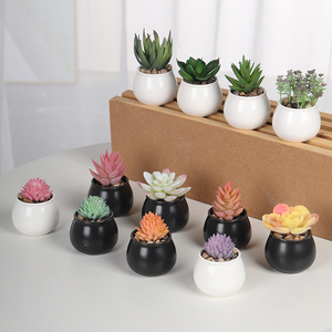 Succulent Plant GX Wholesale Decoration Simulation Mini Plastic Artificial Fake Faux Cactus Succulent Plant Bonsai Arrangement Succulent Set