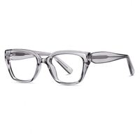Bingkai optik Model LS031 TR90 Kacamata mata kucing bingkai kaca Logo kustom stok tersedia bingkai kacamat Salamin