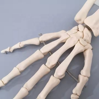 BIG BANG SCIENCE Modelo de Mano Humana Artificial de Tamaño Real, Modelo Anatómico de Esqueleto de Mano de PVC, Modelo de Enseñanza M009, Ciencias Médicas