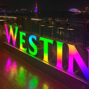 Letras Iluminadas de <span class=keywords><strong>Acero</strong></span> Inoxidable, Letrero LED de 4 pies con Cambio de Color, Letrero LED RGB Personalizado para Exteriores - Product Image 4