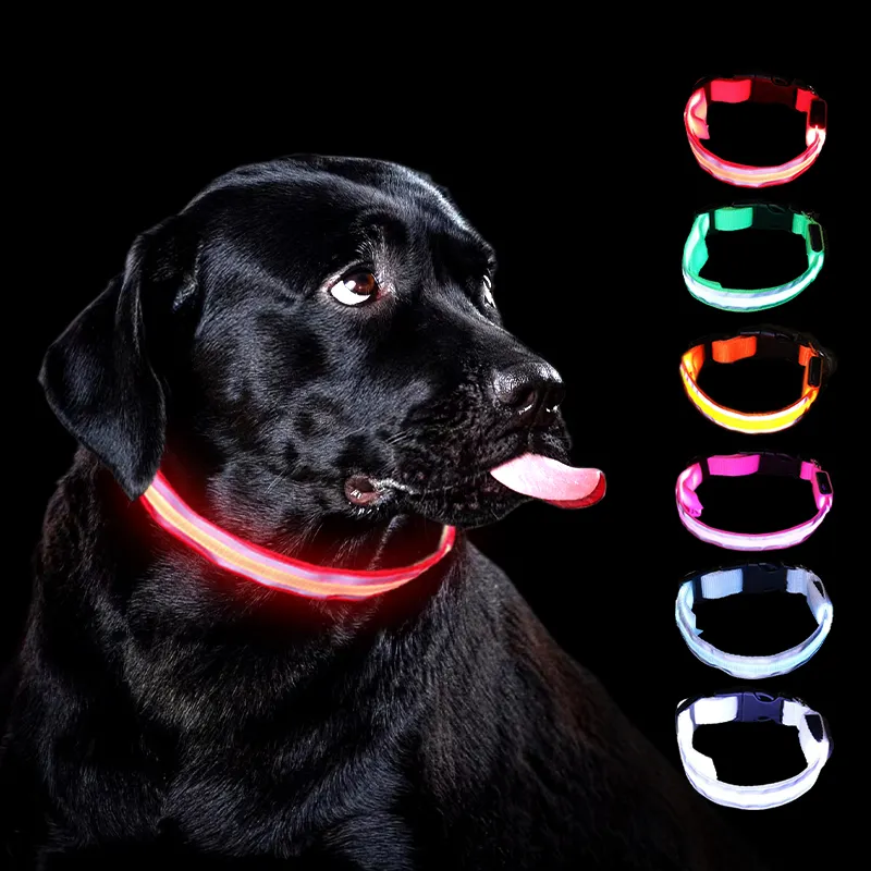 Pet nguồn cung cấp sản phẩm phụ kiện ánh sáng lên con chó cổ áo LED Para perros cá nhân Nylon tùy chỉnh PVC LED Cat Pet Dog cổ áo