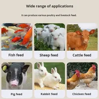 Machine à granulés d'aliments entièrement automatique 50-100 kg/h pour la production d'aliments pour poulets, canards, poissons et moutons, équipement applicable aux fermes