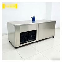 Machine à glaçons commerciale 10kg 20kg pour la conservation de la fraîcheur, idéale pour les entreprises et la vente en gros de blocs de glace