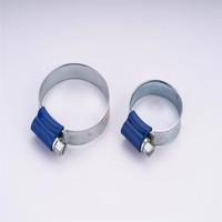 Mini-colliers de serrage en acier inoxydable/acier au carbone, à vis, personnalisés, en zinc naturel