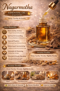 น้ำมันหอมระเหยนาการ์มอธา น้ำมันไซปริออลบริสุทธิ์จากธรรมชาติ สำหรับอโรมาเธอราพี บำรุงผิว บำรุงเส้นผม นวดตัว ใช้กับเครื่องกระจายกลิ่น จำหน่ายส่งออกจำนวนมาก - Product Image 2