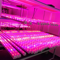 Yeşil ev 0.6m 0.9m 1.2m 1.5m 9w 12w 18w 22w tam spektrum entegre T8 18-19W Led tüp lamba, pantolon yetiştirmek için