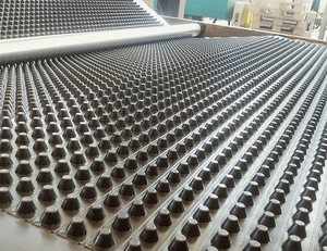 Feuille de drainage en géotextile plastique HDPE NETE, surface en <span class=keywords><strong>nid</strong></span> <span class=keywords><strong>d</strong></span>'<span class=keywords><strong>abeille</strong></span> pour jardin, toit vert, industrie, garantie de 3 ans - Product Image 1