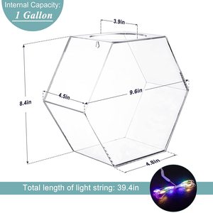 Pecera Hexagonal de 1 Galón para Colgar en la Pared, con Cadena de Luces Impermeable, Acuario de Acrílico Transparente - Product Image 4