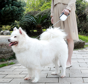 Yüksek kalite yeni ABS otomatik geri çekilebilir köpek tasma naylon çok adım ayarı ile LED evcil hayvan göğüs tasması Light Up - Product Image 5