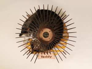 Клетка для домашних животных, стильный Крытый домик для кошек и собак, удобное уютное гнездо для ваших питомцев - Product Image 4