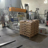 Palettiseur robotique de pile de boîte de sac de pince de bras de robot Palettiseur robotique de pile pour la chaîne de production d'ensachage