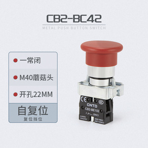 Interruptor de Botón Pulsador Autoblocante CNTD Changde Electric CB2-BC42 con Luz Indicadora, Diseño de Cabeza de Hongo, Longitud Personalizada, Plástico - Product Image 4