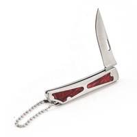 Draagbare Roestvrijstalen Opvouwbare Mes Mini Pakket Opener & Fruit Mes Met Sleutelhanger Voor Outdoor Camping Zelfverdediging