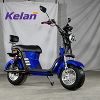 Exportation au Brésil : Scooter Électrique Adulte 1500W, Cadre en Acier Durable, Prix Bas, Pneus Larges, Moto Électrique 20AE