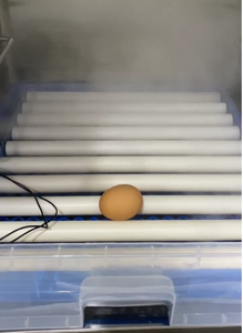 Incubateur numérique pour œufs de poule Mini incubateur pour <span class=keywords><strong>oiseaux</strong></span> ou monticuleurs-constructeurs <span class=keywords><strong>Acheter</strong></span> incubateur pour œufs de poussin Chine - Product Image 3