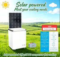 Congélateur coffre solaire autonome 300L DC12V 24V, efficacité énergétique A++, pour camping, marché, zones rurales éloignées, OEM