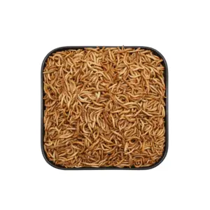 Ranova healthy freeze dried mealworms bulk animal super worm pet products for small pets feeding