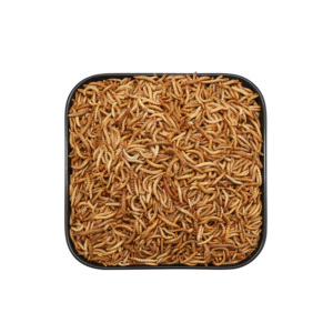 Ranova – vers de viande séchés au congélateur en vrac, super ver pour animaux de compagnie, produits pour petits animaux - Product Image 1