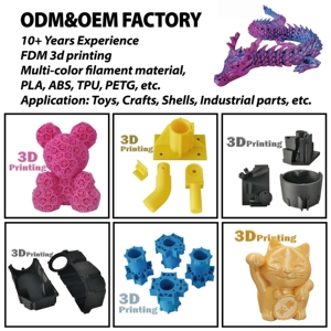 مصنع مخصص 3D مطبوعة بلاستيك معدني راتنج ABS PLA نماذج 3d خدمات الطباعة بالقطع - Product Image 3