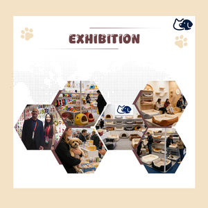 Gabbia per Pappagalli Personalizzata di Grandi Dimensioni, Robusta, Multistrato, in Metallo, per Esterni e Interni, Voliera Moderna per Uccelli di Grandi Dimensioni - Product Image 6