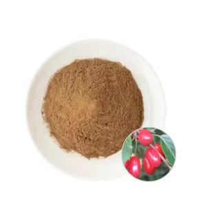 Migliore qualità fornitura di fabbrica alla rinfusa cornus officinalis estratto in polvere in vendita - Product Image 4