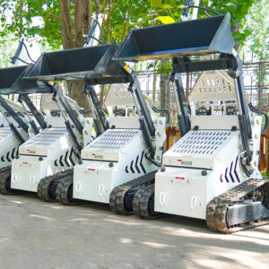 ¡ENVÍO GRATIS! Minicargadora barata MINICARGADORA diésel MINICARGADORA cargadora de ruedas MINICARGADORA 500kg 400kg - Product Image 5